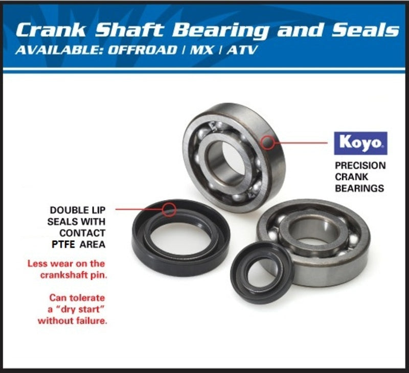 ALL BALLS Crankshaft Bearing & Oil Seal Kit - 1008882
