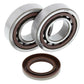 ALL BALLS Crankshaft Bearing & Oil Seal Kit - 1008885