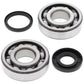 ALL BALLS Crankshaft Bearing & Oil Seal Kit - 1008886