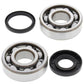 ALL BALLS Crankshaft Bearing & Oil Seal Kit - 1008887