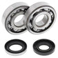 ALL BALLS Crankshaft Bearing & Oil Seal Kit - 1008888
