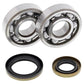 ALL BALLS Crankshaft Bearing & Oil Seal Kit - 1008889