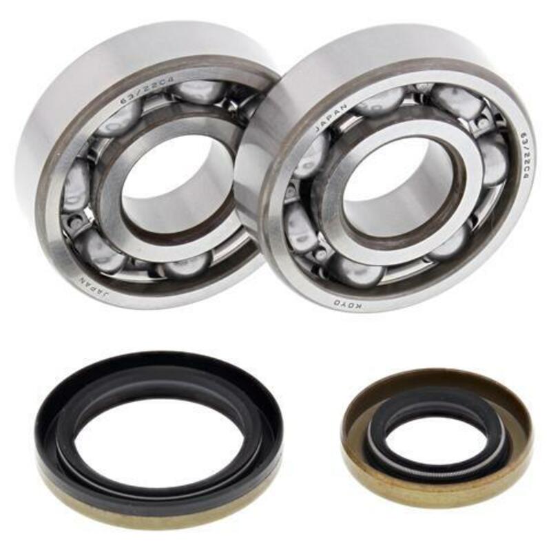 ALL BALLS Crankshaft Bearing & Oil Seal Kit - 1008889