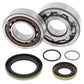 ALL BALLS Crankshaft Bearing & Oil Seal Kit - 1008891