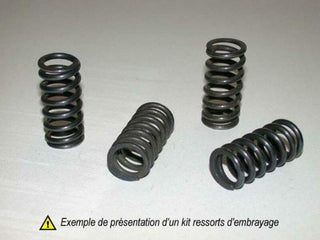 CLUTCH SPRING KIT - 1009120