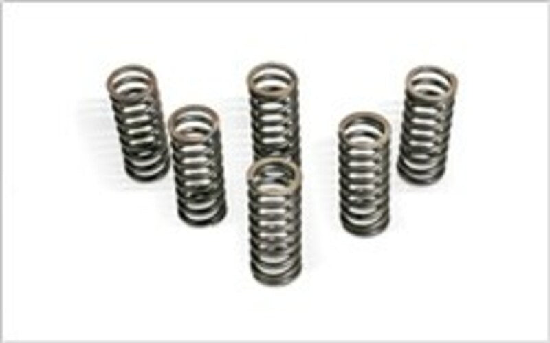 CLUTCH SPRING KIT FOR RM250 06-08