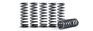 REPLACEMENT SPRING FOR HONDA CLUTCH KIT - 1011106