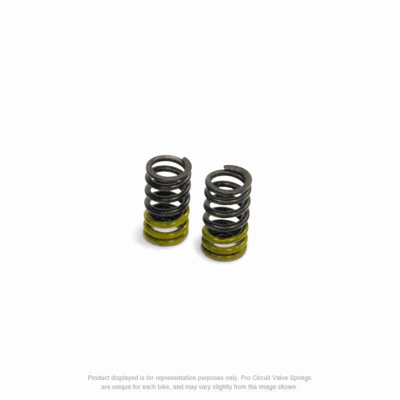 PRO CIRCUIT Valve Springs