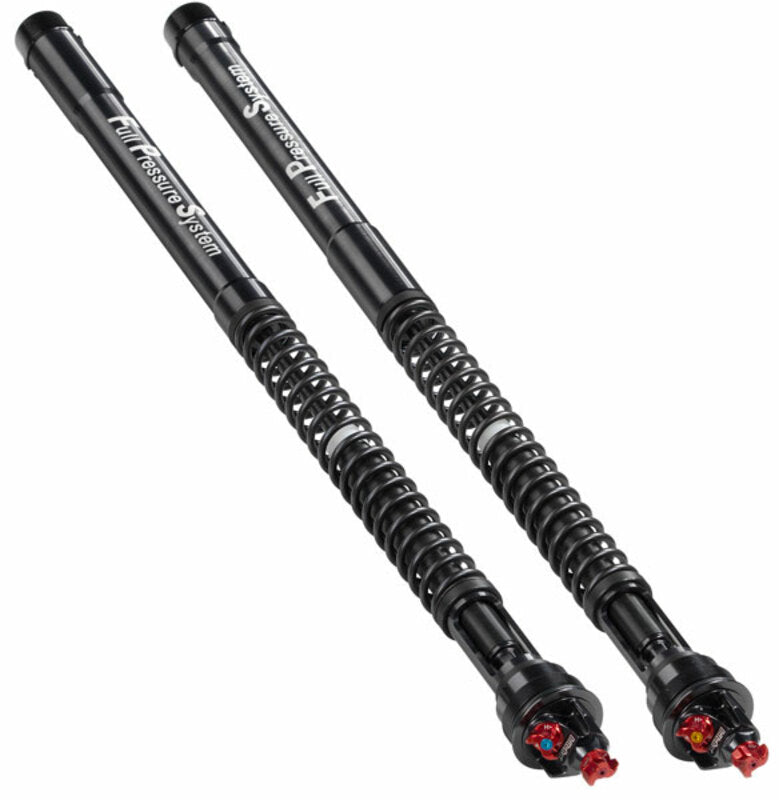 BITUBO ECH29 Fork Cartridges Kit Aprilia RSV4 RF