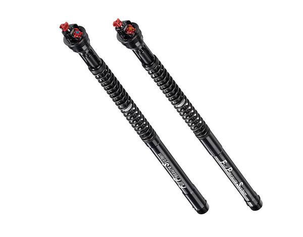 BITUBO for cartridges for 675 TRIUMPH DAYTONA 06-08