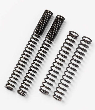 BITUBO GABELFEDER FÜR DUCATI 94-03, 916 748, 996, 998 BIPOSTO 94-03