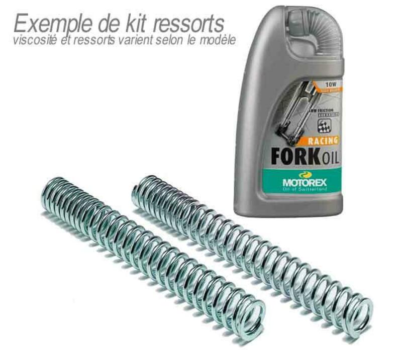 BITUBO Fork Spring Kit + MOTOREX Fork Oil Piaggio X9 125 CC