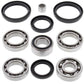 ALL BALLS Rear Differential Bearing & Seal Kit Arctic Cat/Kymco