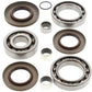 ALL BALLS Rear Differential Bearing & Seal Kit Polaris Sportsman