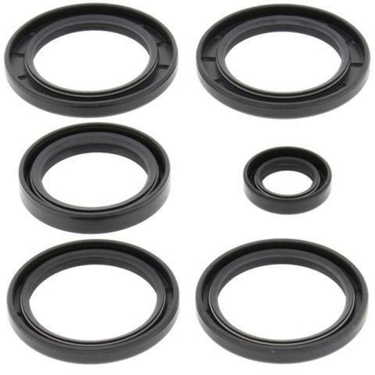 ALL BALLS Differential Seal Kit - 1039421