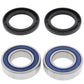 ALL BALLS Rear Wheel Bearing Kit - 1039787