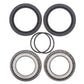 ALL BALLS Rear Wheel Bearing Kit - 1039793
