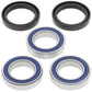 ALL BALLS Rear Wheel Bearing Kit - 1039795