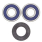 ALL BALLS Rear Wheel Bearing Kit - 1039802