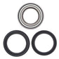 ALL BALLS Rear Wheel Bearing Kit Suzuki - 1039909
