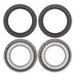 ALL BALLS Front/Rear Wheel Bearing Kit Can-Am DS650