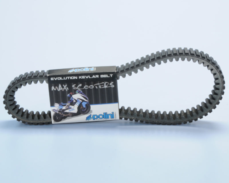 POLINI Kevlar Reinforced Transmission Belt - 1042558