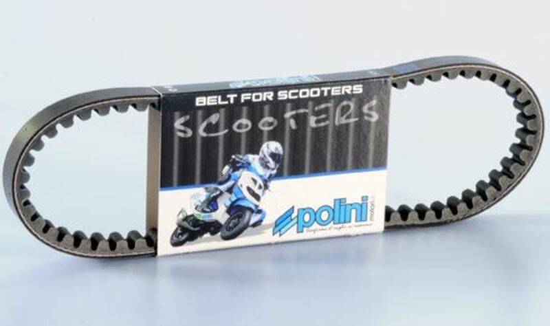 POLINI Standard Transmission Belt - 1044741