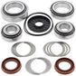 ALL BALLS Rear Differential Bearing & Seal Kit Polaris RZR 800 Ranger/Ranger 800 RZR4