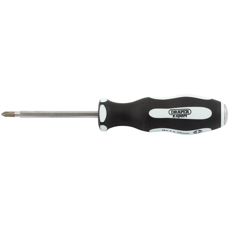 DRAPER Cross Slot Screwdriver 2x100mm