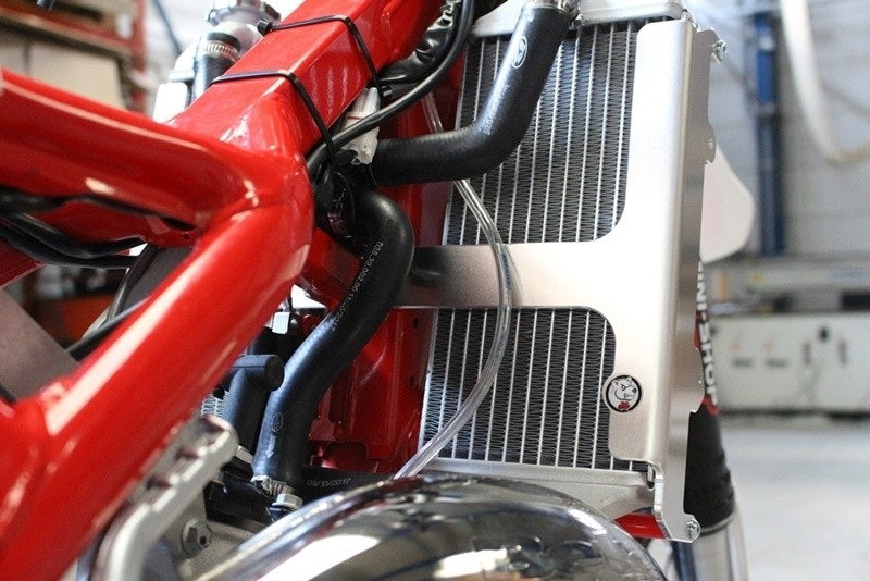 AXP Aluminium Radiator guard - Beta RR125