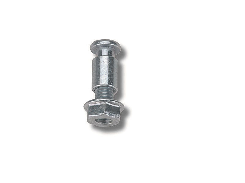 DOMINO Brake/Clutch Lever Screws Polished