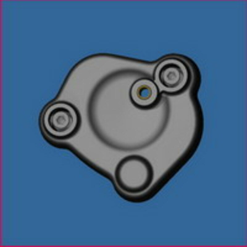 Crankshaft protector