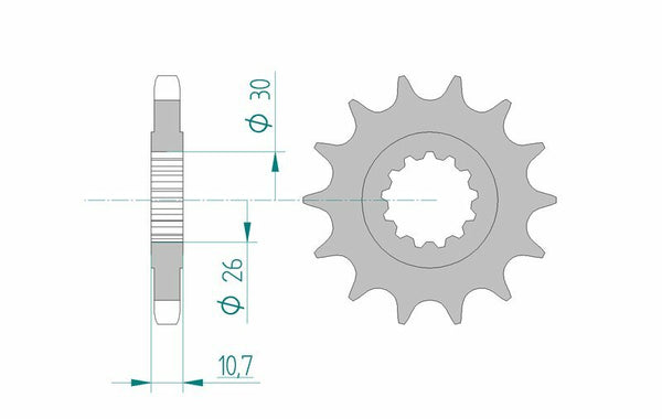 AFAM Steel Standard Front Sprocket 21801 - 530 - 1075655001