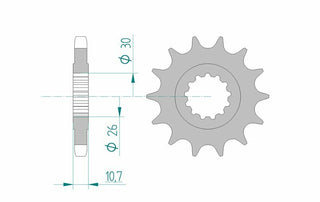 AFAM Steel Standard Front Sprocket 21801 - 530 - 1075655003