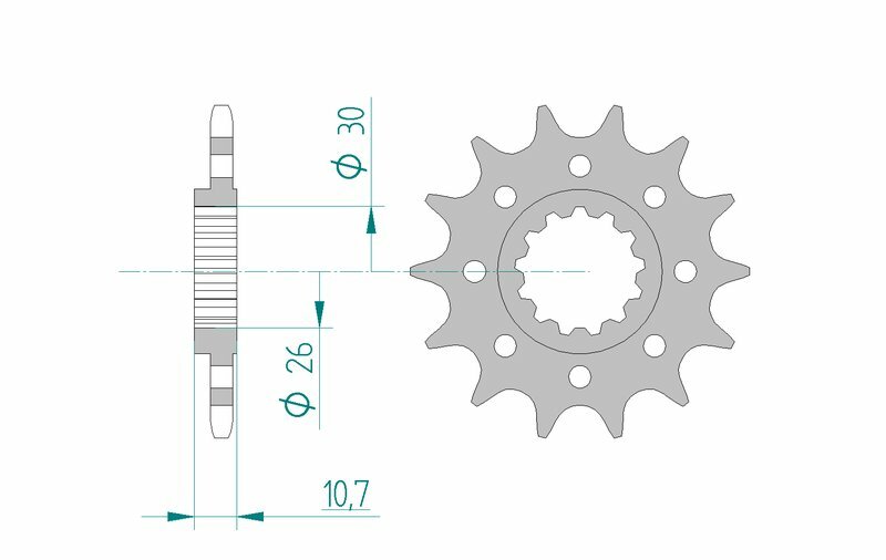 AFAM Steel Racing Front Sprocket 21804 - 520 - 1075688004