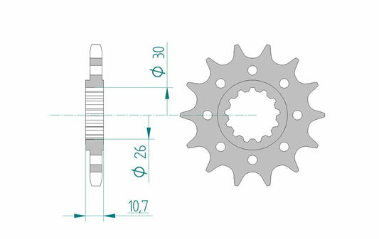AFAM Steel Standard Front Sprocket 21805 - 525 - 1075699002