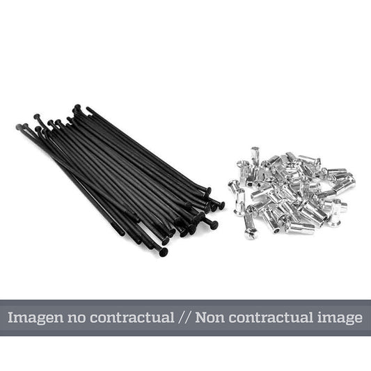 HAAN WHEELS 21" Spokes set - 36 spokes - 1076552001