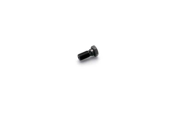 SINGLE SCREW M10X 1.25 TITAN