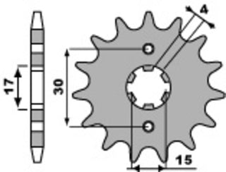 PBR Stahl Standard Kettenrad 255 - 420 - 1077640001