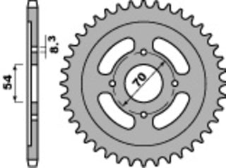 PBR Stahl Standard Kettenrad 263 - 428 - 1077643006