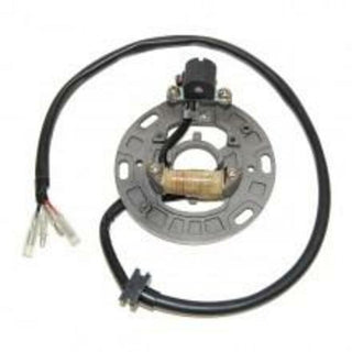 ELECTROSPORT Stator - Kawasaki KX125