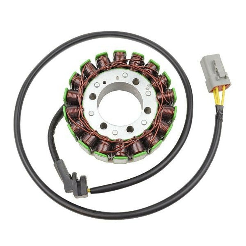 ELECTROSPORT Stator - Cam Am