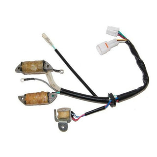 ELECTROSPORT Stator - Yamaha YFM - 1078117