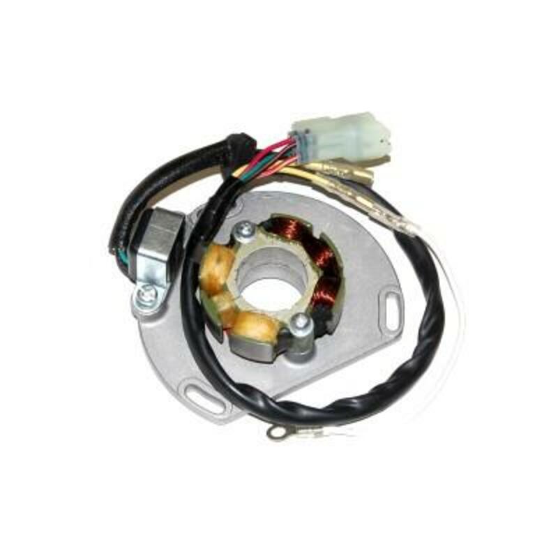 ELECTROSPORT Stator & Lightning Coil - KTM