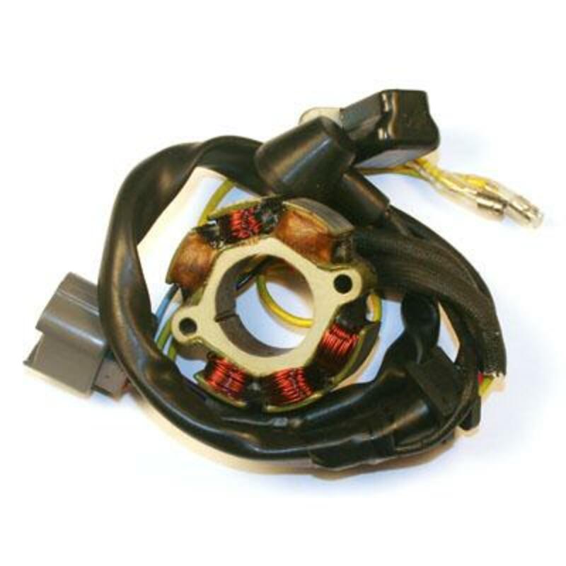 ELECTROSPORT Stator & Lightning Coil - Suzuki RM-Z250 - 1078124