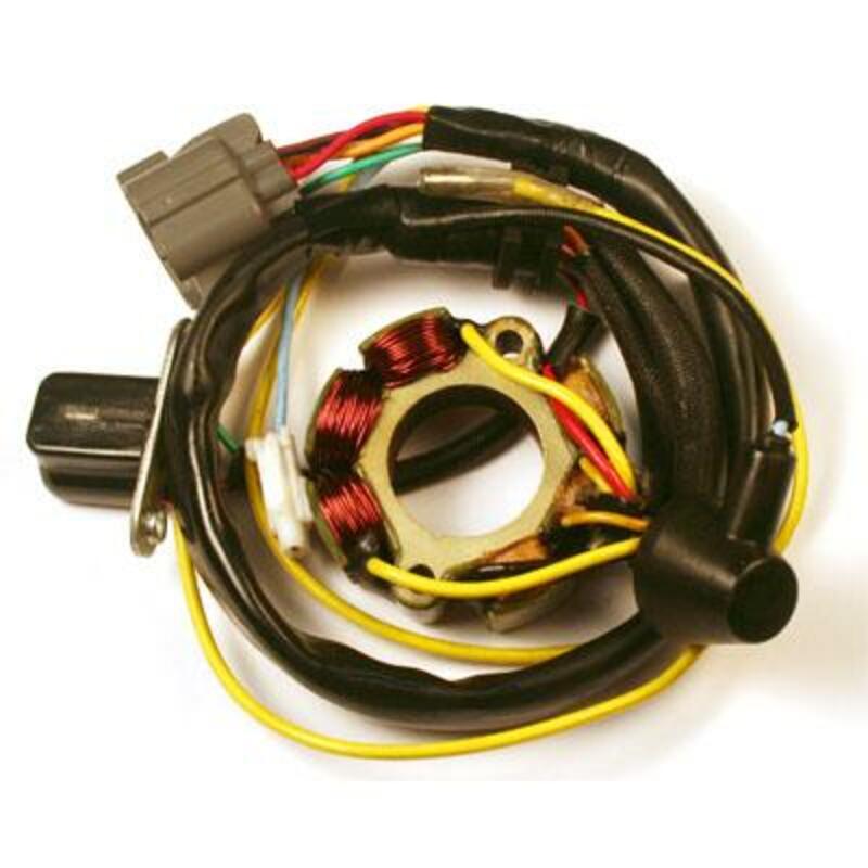 ELECTROSPORT Stator & Lightning Coil - Suzuki RM-Z250 - 1078125