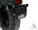 DENALI B6 License Plate Brake Light - 1079874