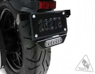 DENALI B6 License Plate Brake Light - 1079874