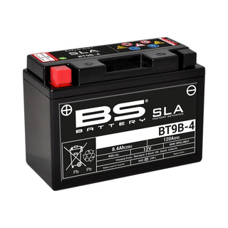 BS BATTERY SLA Battery Maintenance Free Factory Activated - BT9B-4