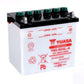 YUASA Battery Conventional without Acid Pack - Y60-N24L-A